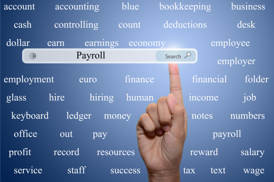 Why Your Small Business Needs Payroll Services
